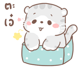 เหมียวขอ รูปที่ 21