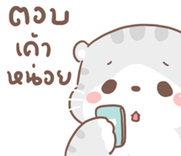 เหมียวขอ รูปที่ 23
