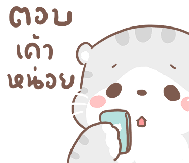 ลายที่ 23