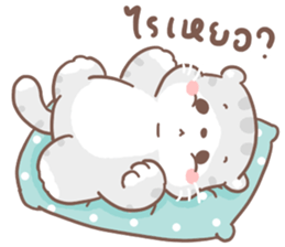 เหมียวขอ รูปที่ 24