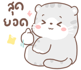 เหมียวขอ รูปที่ 27
