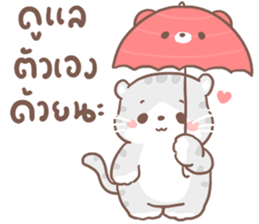 เหมียวขอ รูปที่ 29