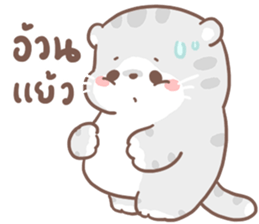 เหมียวขอ รูปที่ 30
