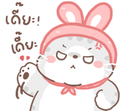 เหมียวขอ รูปที่ 31