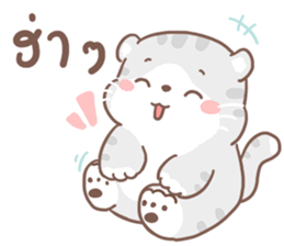เหมียวขอ รูปที่ 34