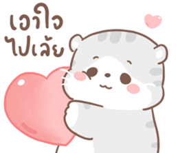 เหมียวขอ รูปที่ 36