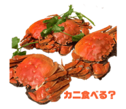 326773679