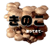 326773680