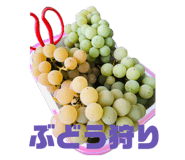 326773700