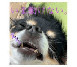 326774706