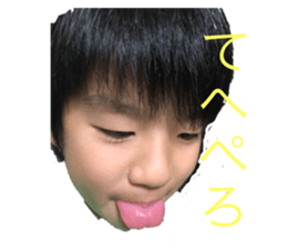 326776446