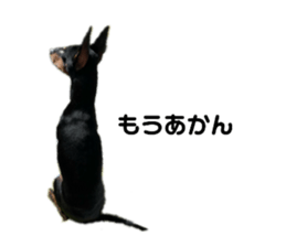 326779297