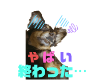 326781024