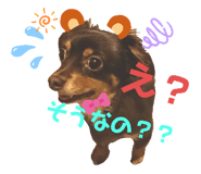 326781026