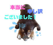 326781027