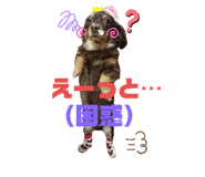 326781028