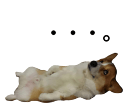 326881940