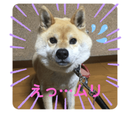 326884737
