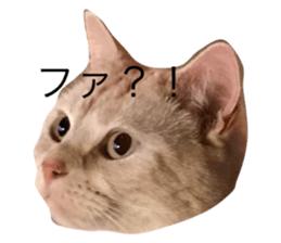 326896676