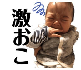 326947569