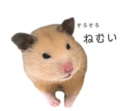 327012282