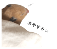 327012283