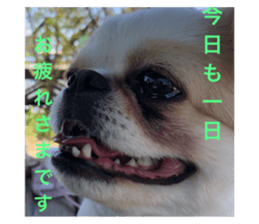 327028971