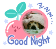 327116223
