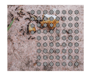 327124324