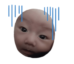 327124339