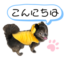 327333083