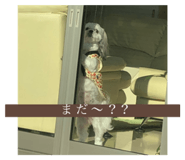 327334616
