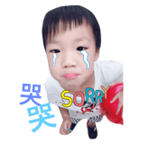32736301