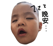 32736681