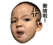 32736682