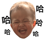 32736685