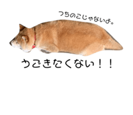 327389297