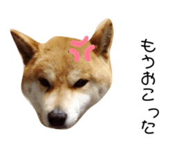 327389300
