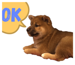 327400830