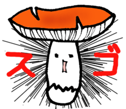 3274427