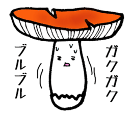 3274434