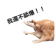 327474852