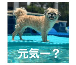327485887
