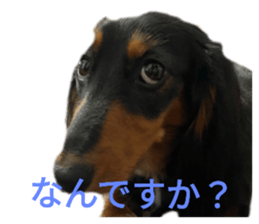 327545708