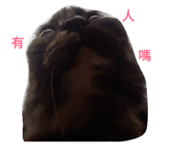 32758732