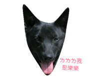 32758733