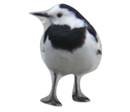 32758742