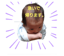 327689648