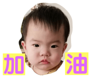 327795524