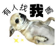327823165